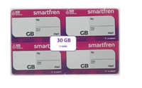 Voucher Smartfren 30 GB 7 Hari