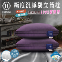【Hilton 希爾頓】極度沉睡 銀離子100%萊賽爾60支紗獨立筒枕/紫色(萊賽爾枕/枕頭/助眠枕/舒柔枕)(B0117-L)