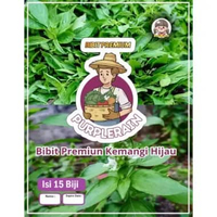 Bibit Premium Kemangi | Kemangi | Bibit