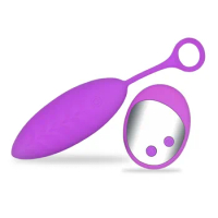 Dingye Rechargeable Vibrator10 Speed Wireless Remote Control Vibrator G Spot Dildo Vibrator Silicone Adult Sex Toy Sex Product