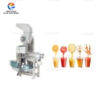Industrial Screw Type Juicer Fruit Juicer Extractor Machine Carrot Apple Juice Making Machine