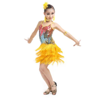 Kids Tango Skirt Tassel Dancing Dress Girls Sequins Dance Outfits Dancewear Fringe Flapper Dress Ballroom Costume