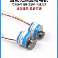 2418 Brushless Vibration DC Motor With Adjustable Speed 12V 24V Micro Planetary Gear High Torque Motor Small Motor BLDC PWM