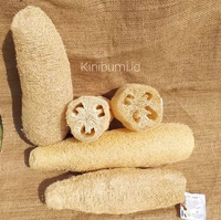 Loofah Gambas Emes Blustru Kering Spons Mandi Sponge Cuci Piring 25 up