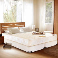 【德泰】五星級飯店款 彈簧床墊 雙人5尺+Oleles 歐萊絲 乳膠QQ枕(送保潔墊)