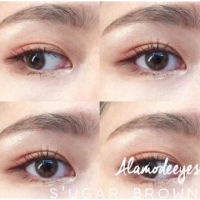🔥คอนแทคเลนส์ ✨ขนาดมินิ ✨Brown✨Mini Sugar (Kitty kawaii) Bigeyebybellies