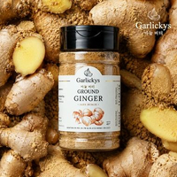 Bubuk Jahe Murni / Ginger Powder / Jahe Bubuk Murni Premium Quality