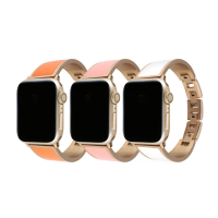 【DAYA】Apple Watch 1-9代/SE 38/40/41mm 純色手鐲不鏽鋼錶帶