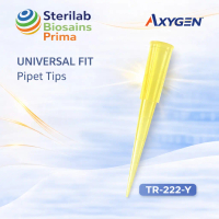 Axygen 200 µL Universal Fit Pipet Tips TR-222-Y