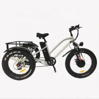 Ristar 2022 adult big wheel tricycle/electric tricycle bicycle adult Trike/motorized cargo tricycle custom