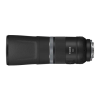 【Canon】RF 800mm f/11 IS STM(台灣佳能公司貨)