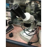 解剖實體 雙目顯微鏡 科普 20X 40X