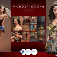 Original Hottoys Ht DC 1/6 Mms698 Wonder Woman Warner 100 Limited Edition 300 Birthday limited edition Justice League In Stock