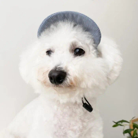 Woofidoo Sunday Pastel Cap Topi Anjing Kucing Dog Cat Hat Cap Terlaris
