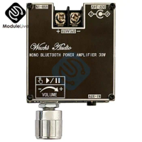 ZK-1001B ZK-301B Bluetooth 5.3 Amplifier HIFI 1.0 Channel 100W 30W Audio Module Kit Adjustment Subwoofer Amplifier Board Channel