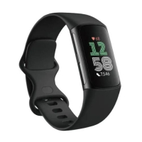 Fitbit Charge 6 智能運動手錶 | 平行進口|.AI精準心率、地圖/錢包支付、ECG心電圖、7天長續航 曜石黑