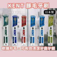 日本  KENT 豚毛牙刷 共6款 軟毛 硬毛 牙刷 口腔清潔 潔牙 口腔  牙齒 日本愛用搶手貨 F0
