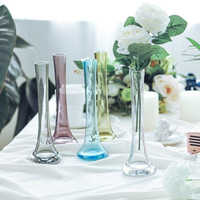 買一送一 單枝透明玻璃花瓶直筒細長小口花瓶客廳辦公室清新插花擺件  雙十二購物節