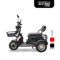 AZ 04 Series 3 Wheel Electric Bicycle E Bike Malaysia