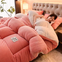 【免運】150*200/180*220/200*230CM加厚雪花絨被子 被芯 冬被 雙面絨被芯 保暖雙人被褥 棉被
