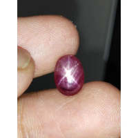 Natural Ruby Star 10x7x4 mm 2.8 Ct Perfect Tajam Fatwa Kristal Oval Cabochon Code 984