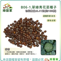 【綠藝家】B06-1.翠綠青花菜種子0.41克(約100顆) F1，植株生長強健，莖幹粗，蕾球大，蕾粒中細