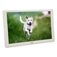 10.1inch HD Digital Photo Frame Multifunction IPS HD Screen Support Slide Show Electronic Picture Frame 100‑240V