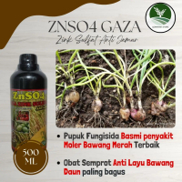 Pupuk Basmi Penyakit Moler Bawang Merah Terbaik - ZNSO4 GAZA 500ML - Obat semprot layu bawang merah 
