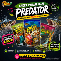 PAKET PAKAN IKAN PREDATOR Nutrisi lengkap warna up tumbuh optimal ikan ikan predator