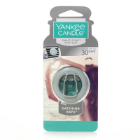 Yankee Candle CATCHING RAYS 車用香氛 1817