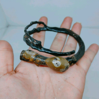 GELANG AKAR BAHAR COMBONG BONGGOL UNIK LANGKA