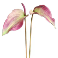 ONE Faux Single Stem Real Touch Flamingo Flower 28" Length Simulation Texture Autumn Anthurium for Wedding Centerpieces