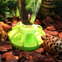 New Reptile Water Drinker Dispenser Food Bowl Lizard Feeder Round Dish Drink Bottle Lizard Lotus Flower Reptile feeders