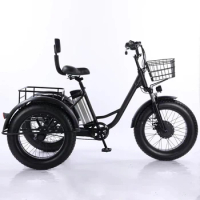 lightweight Electric Tricycle Hybrid Moped For Elderly People 24 Inch 3 Wheel Bike With Basket