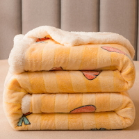 雪花絨加厚雙層羊羔絨毛毯拉鏈款單人雙人被套冬季保暖毛絨蓋毯子