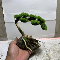 Bonsai Aquascape Daun Sintetis Mini Murah