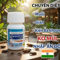 (Ko mùi) Thuốc muỗi y tế Spectra 10SC chai 50ml