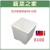 【蔬菜之家】四方型栽培盆4吋-白色厚100個組(花盆 塑膠花盆 多肉盆)