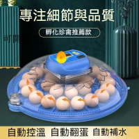 110V孵蛋器孵化器小型家用智能全自動孵小雞的機器鸚鵡鳥蛋迷你小飛碟