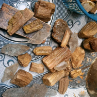 fosil kayu dari alam asli(cek deskripsi)