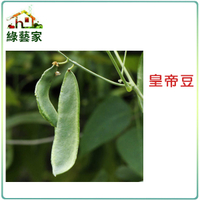 【綠藝家】E13.皇帝豆(萊豆)種子8顆