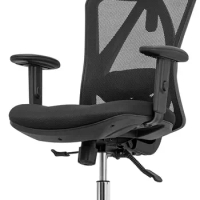 Duramont Ergonomic Office Chair - Adjustable Desk Chair with Lumbar Support and Rollerblade Wheels
