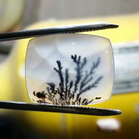 Batu Kristal Gambar Tumbuhan - Dendrite Crystal Chalcedony - Serat KuraBukan Batu Red Baron Pacitan