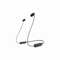 SONY 藍牙耳道式耳機 WI-C100