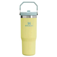 Tumbler Stanley Ice Flow Classic Flip Straw2.0 Tumb 30 oz termos minum Pomelo