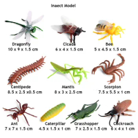 10pc/set Original Wild Animals Mantis Ant Dragonfly Bee Centipede Model Action Figurines Miniature Collection Toy For Kids