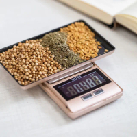 【Taylor】便攜式料理電子秤 500g / 料理秤 食物秤 烘焙秤