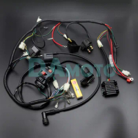 Full Wiring Harness Loom Ignition Coil CDI D8EA For 150cc 200cc 250cc 300cc Zongshen Lifan ATV Quad Buggy Electric Start Engine