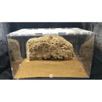 Pet Ant Nest Homeland World Tribe Villa Birthday Gift Teaching Research Science Natural stone cave box terrarium Ecological kit