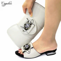 White African Woman Shoes And Bag Set African Ladies Lower Heels Summer Shoes With Handbag Matching Purse Pantuflas CR528 2cm